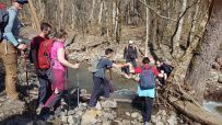 Южное цветочное путешествие: кавказские цикламены и подснежники