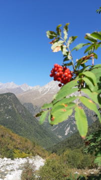 Горный лагерь в Дигории (Северная Осетия)
