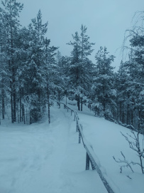 Кижи и Заонежье