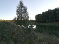 Пеший поход Тула — Ясная поляна (Тульская область)