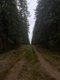 Пеший поход к сердцу Селигера