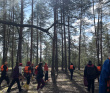 Сплав по реке Поля «Cквозь лес на байдарках»