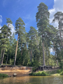 Оредеж — прогулка на байдарках (1 день)