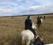 Пеше - конный тур "По местам Бородинской битвы"