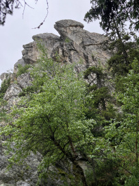 Тайны Южного Урала (мультитур без рюкзаков)