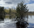 Сплав по реке Пра: через самое сердце Мещеры