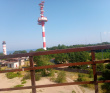 Пеший поход по южному берегу Финского залива