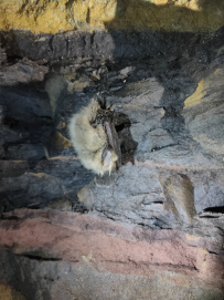 Спелеопоход в Саблинские пещеры
