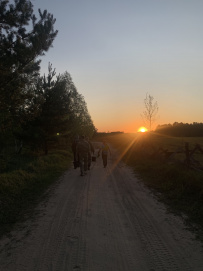Пеший поход «Лесное путешествие» (Подмосковье)