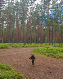 Мамино Лето: наедине с природой и малышом