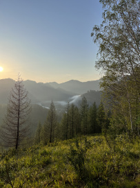 Сплав по реке Чарыш на байдарках