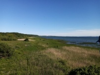 Пеший поход «Лесное путешествие» (Подмосковье)