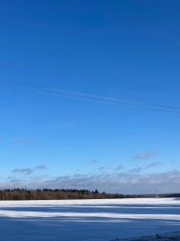 Меж двух усадеб: от Абрамцево до Мураново (пеший поход)