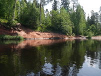 Оредеж — прогулка на байдарках (1 день)