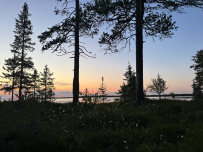 Сплав по реке Умба