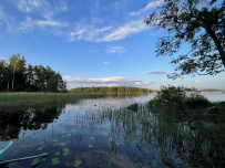 Водное ассорти с детьми: на лодках, байдарках, сапах
