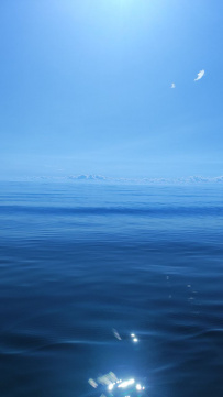 Соловецкие острова на морских каяках