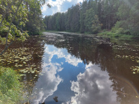 Сплав по реке Оредеж на пакрафтах