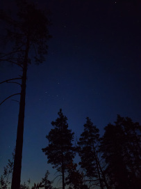 Сплав по реке Пра: через самое сердце Мещеры