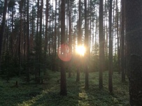 Сплав по реке Медведица с баней и автосопровождением