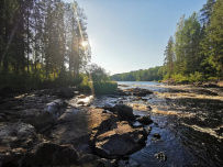 Сплав по реке Шуя