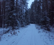 Однодневный пеший поход - Северный лес Подмосковья
