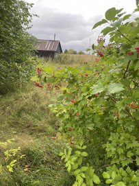 Рысья гора (ночёвка в доме с баней)