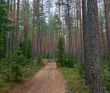 Поход на Треугольное озеро (ночёвка в гостевом доме Лиетлахти)
