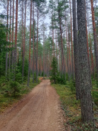 Поход на Треугольное озеро (ночёвка в гостевом доме Лиетлахти)