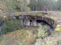 Далекий финский берег