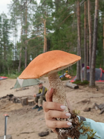 Сплав по реке Пистайоки (Писта)