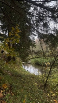 Однодневный пеший поход «Дорога в Лавру» (Хотьково — Семхоз)