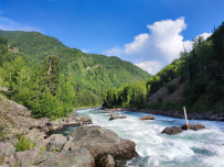 Сплав по рекам Малая и Большая Сумульта и Катунь