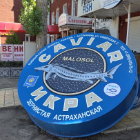 Сплав на байдарках по Астраханской области:маршрут № 1 от Астрахани до взморья Каспия