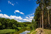 Фото из отзыва участника