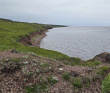 Аметистовый берег Белого моря
