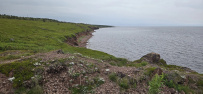 Аметистовый берег Белого моря