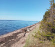 Аметистовый берег Белого моря