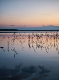 Сплав по реке Умба