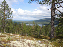 Колвица на морских каяках (байдарках). Путешествие на землю Саамов