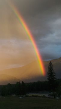 Сплав по реке Катунь