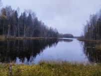 Земля колдунов:поход в Вепсский лес (разведка)