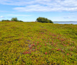 По Соловкам без рюкзаков