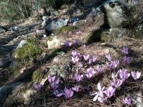 По Ликийской тропе через горы к морю (классический пеший поход)