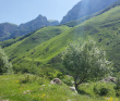 Целебный горный лагерь на Кавказе