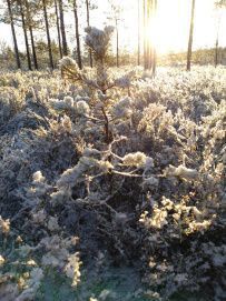 Пеший поход к Зеленодольским озерам