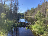 Крыша Карелии (национальный парк Паанаярви)