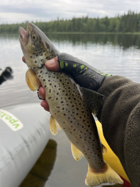 Сплав и рыбалка на Умбе(с выходом в Белое море). Рыболовный маршрут