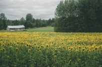 Фото из отзыва участника