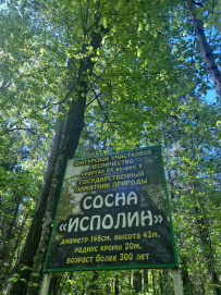 Пеший поход «Край покинутых деревень»
